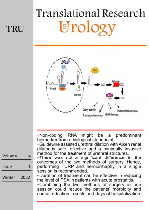 Landscape of Circular Ribonucleic Acids in Urological Cancers