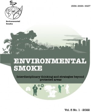 Environmental Smoke