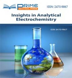 Insights in Analytical Electrochemistry