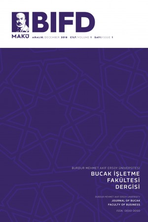 Türkiye’de 1995-2018 Yılları Arasında Çevre Muhasebesine Yönelik Çalışmaların Bibliyometrik Analizi