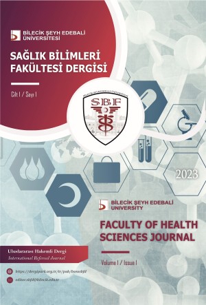 Bilecik Şeyh Edebali University Faculty of Health Sciences Journal