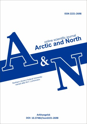 New projects for the development of the Russian Arctic: space matters!