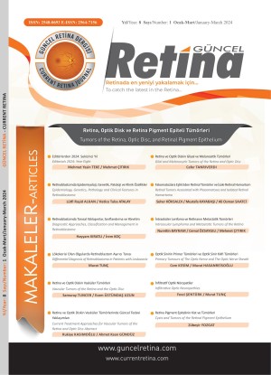 Current Retina Journal (Güncel Retina Dergisi)