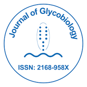 Journal of Glycobiology