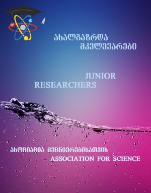 Junior Researchers