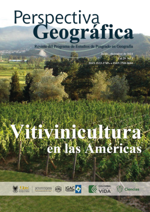 Perspectiva Geográfica