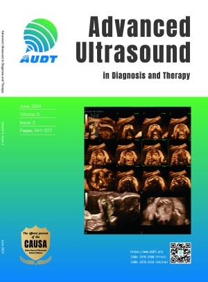 Advanced Ultrasound in Diagnosis and Therapy