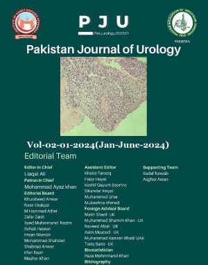 Pakistan Journal of Urology