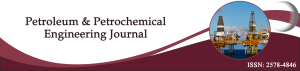 Petroleum & Petrochemical Engineering Journal