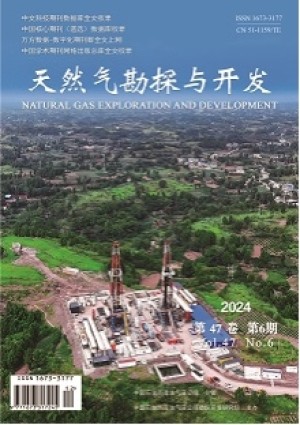 Natural Gas Exploration and Development