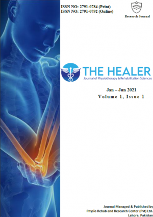 The Healer Journal